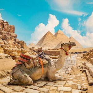 Egypt Tours