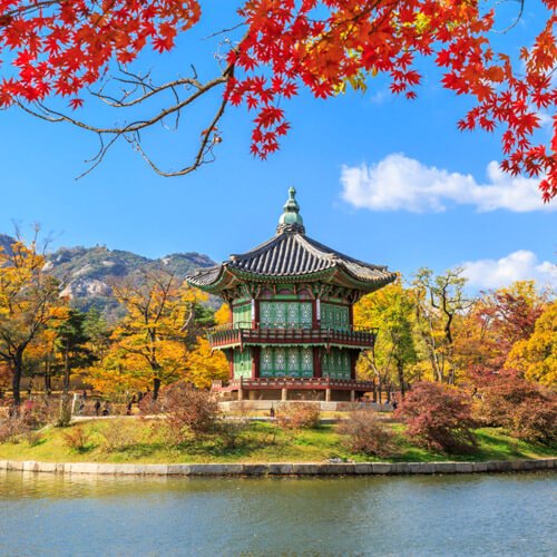 Korea Tours